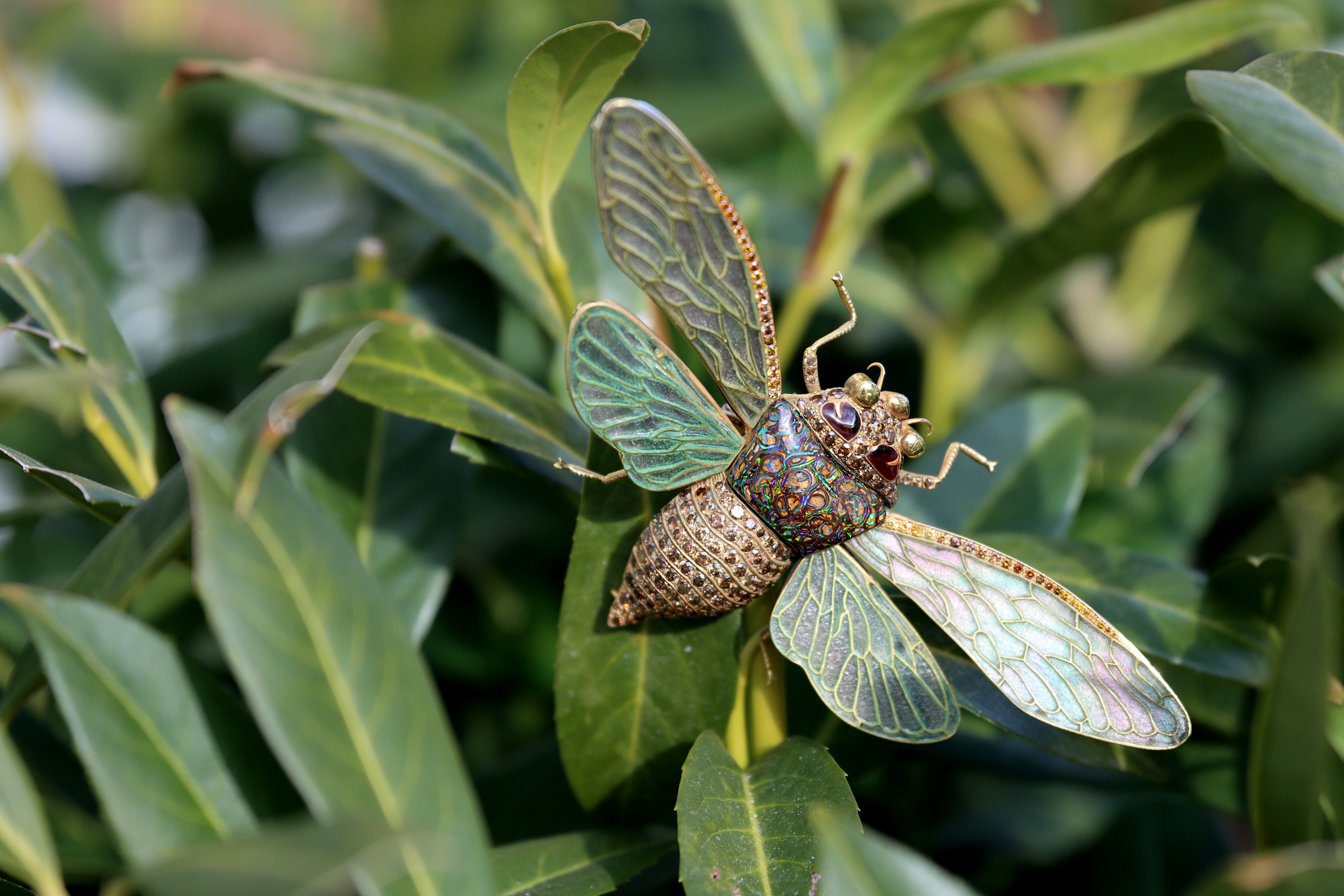 February Jewels & Timepieces